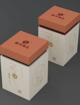 静禅国灸